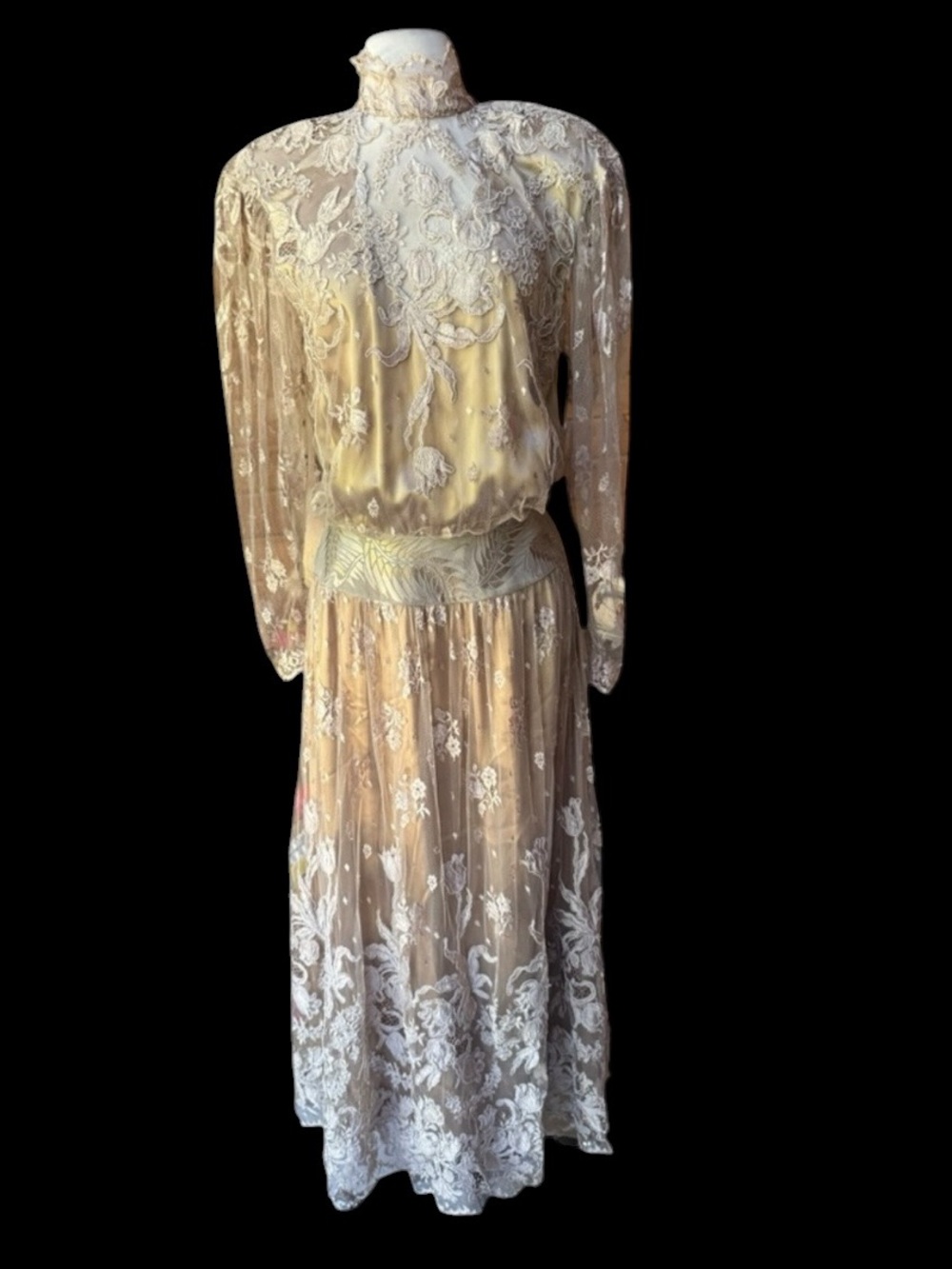 1970s/Early 80s Janis Chicago Lace, Edwardian Revival Style Maxi Dress